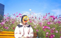 荧被丘丘人繁衍后代剧情解析